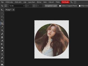 Cách cắt ảnh thành hình tròn trong Photoshop Online 