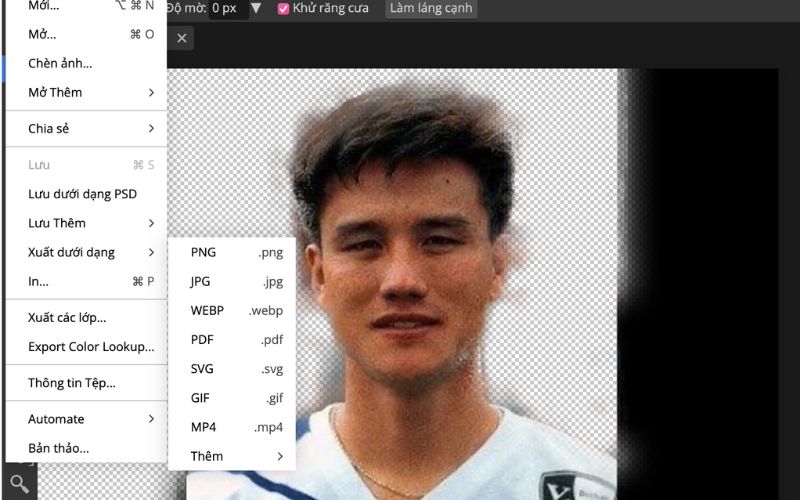 Chọn định dạng ảnh cần xuất và lưu về máy