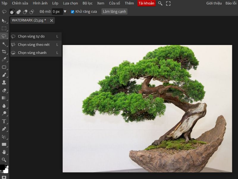 Chọn vùng tự do để khoanh khu vực muốn đổi màu