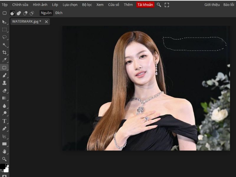 Ảnh sau khi xóa Watermark
